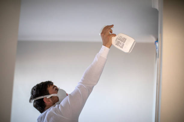 Best Mold Removal Company Near Me  in Hlsboro, IL