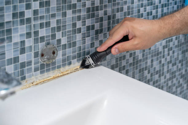 Best Mold Removal Near Me  in Hlsboro, IL